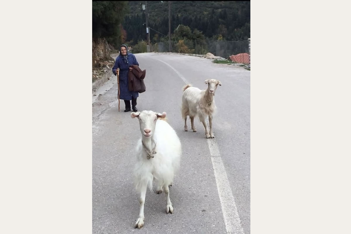 Ontdek Kreta met Eye Travel Excursions jeepsafari in de bergen